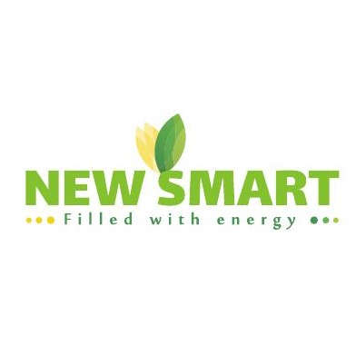 New Smart