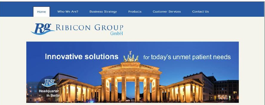 Ribicon Group - Web Design